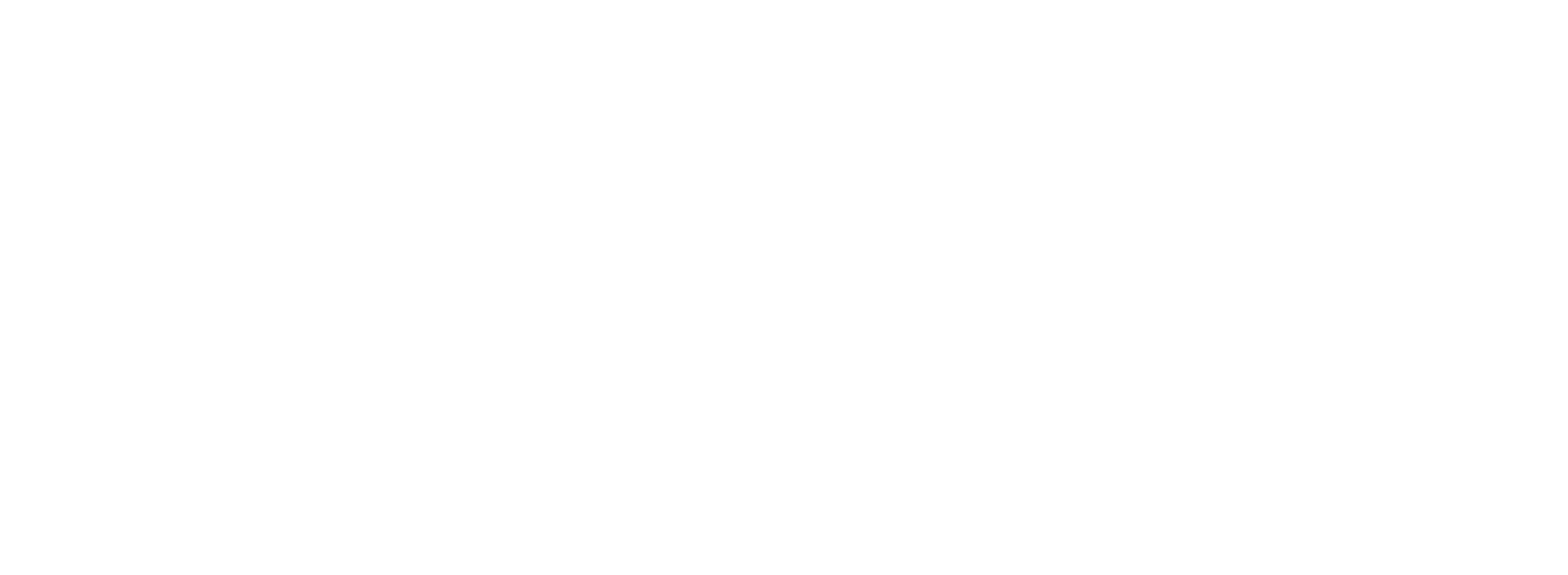 IBA Service GmbH